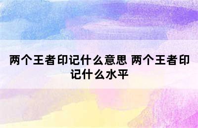 两个王者印记什么意思 两个王者印记什么水平